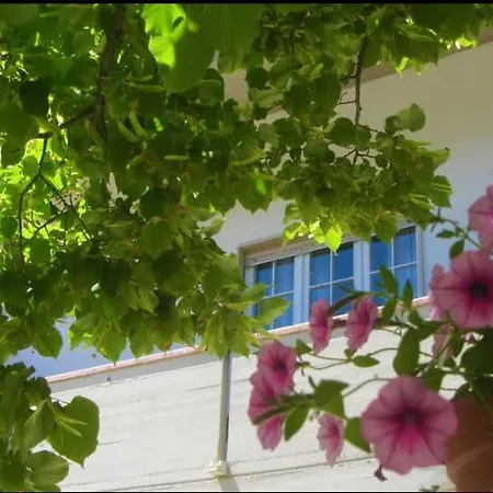 Il Country E Il Mare