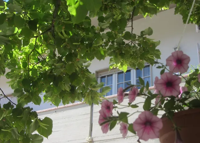 Il Country E Il Mare