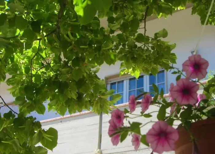 Il Country E Il Mare